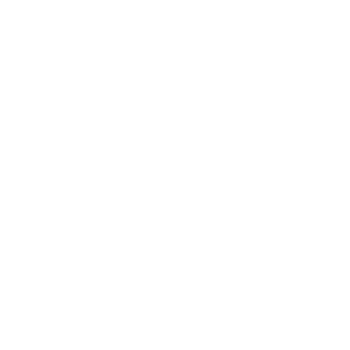 Pacmax Computer Shop